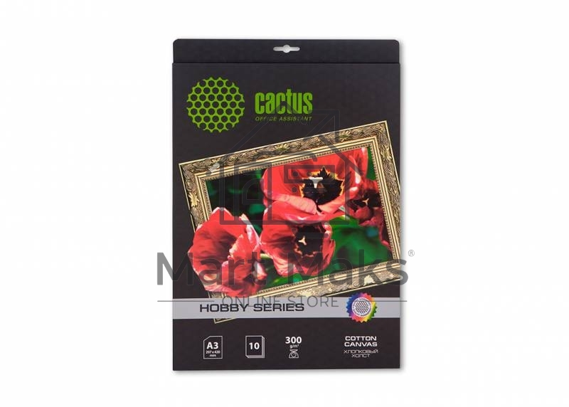 Холст Cactus CS-СA326010 A3/10л. для струйной печати