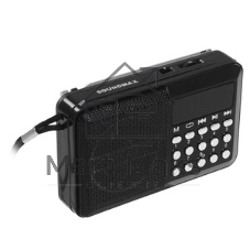 Радиоприемник SOUNDMAX SM-RD2116 черный