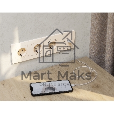 Комплект механизма розетки ALFA Бежевый матовый 2USB A+C 20W (быстрая зарядка) QUANT (AP3310, VM177) MA331010