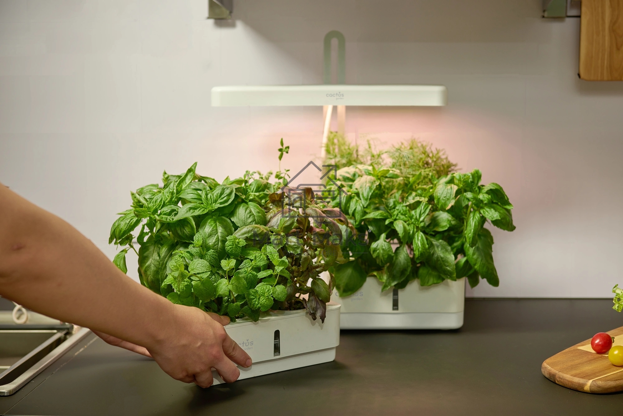 Гидропонная установка Cactus Garden 3л 20Вт белый (CS-LEDPOT-08)