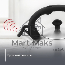 Чайник металлический со свистком Tefal N4210117 3110602015