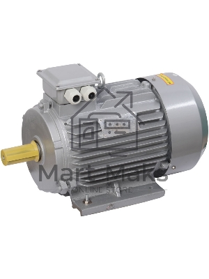 Электрический двигатель IEK ONI 3ф.АИР 132M4 380В 11 кВт 1500 об/мин 1081 DRIVE Электрический двигатель IEK ONI 3ф.АИР 132M4 380В 11 кВт 1500 об/мин 1081 DRIVE