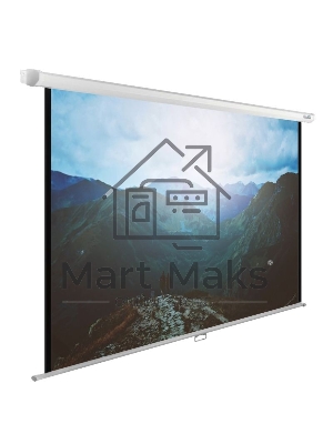 Экран Cactus 240x240см WallExpert CS-PSWE-240x240-WT 1:1 настенно-потолочный рулонный