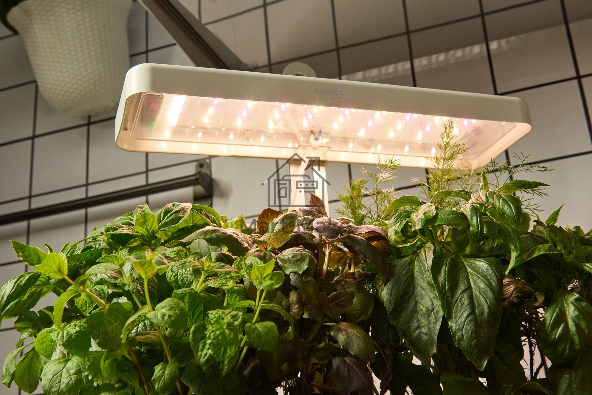 Гидропонная установка Cactus Garden 3л 20Вт белый (CS-LEDPOT-08)