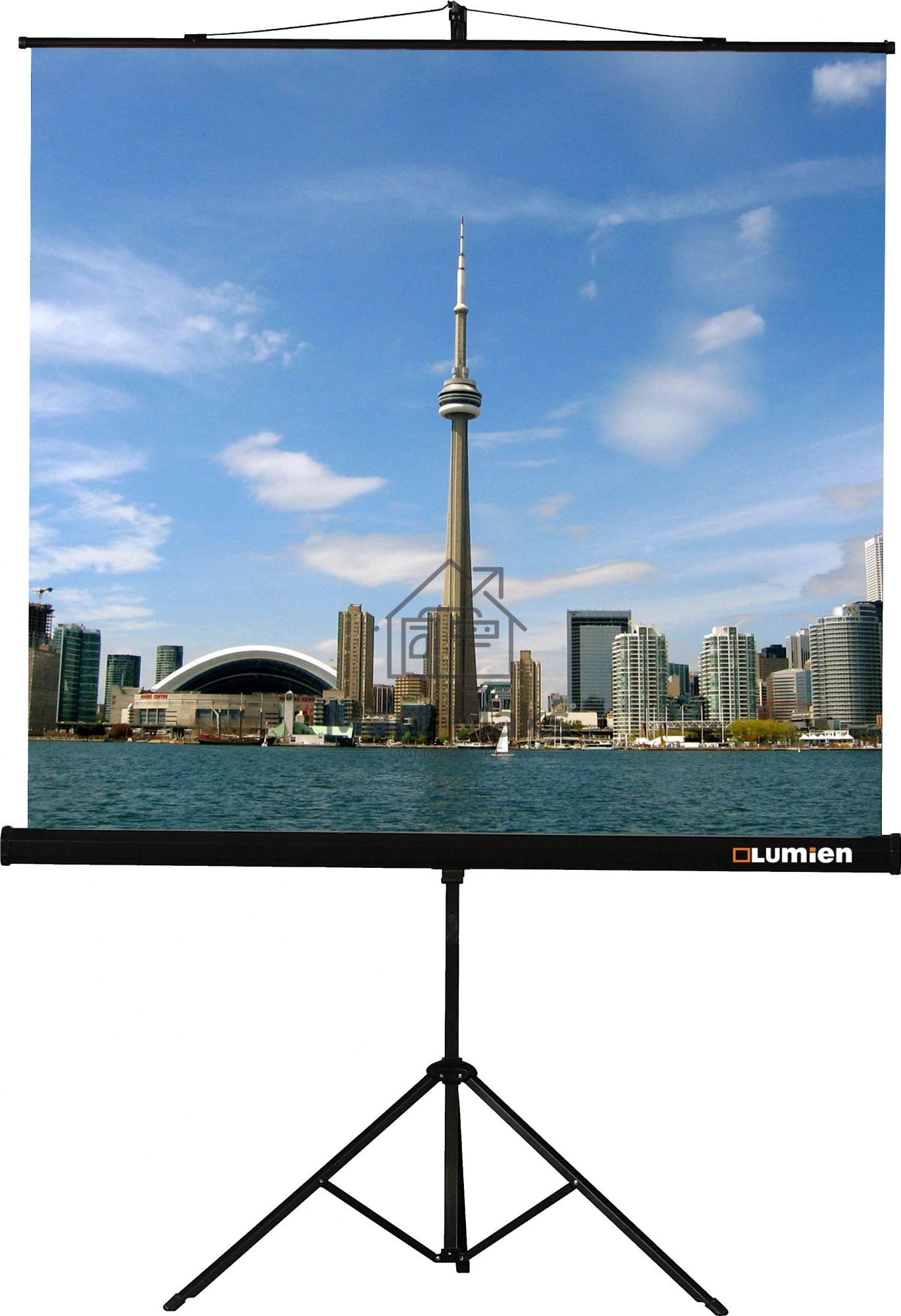 Экран на штативе Lumien Eco View 220x220см (раб.область 214х214 см) Matte White с возможностью настенного крепления 1:1