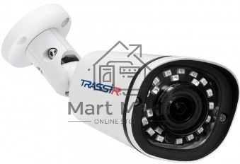 Видеокамера IP Trassir TR-D2121IR3 3.6-3.6мм цветная