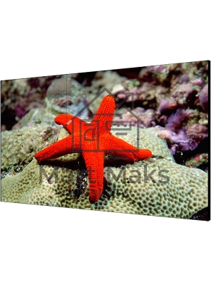 Экран LCD Hikvision DS-D2055LR-G 55