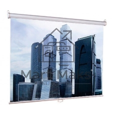 Экран Lumien 160x160 см Eco Picture LEP-100105 1:1 настенно-потолочный рулонный