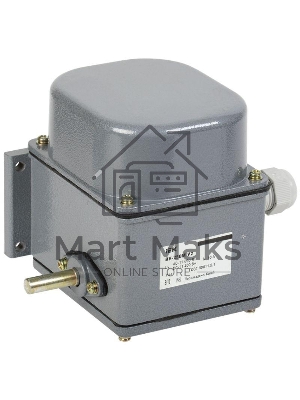 Выключатель концевой ВУ-250М У2 2 комм. цепи IP44 IEK KV-1-250-1