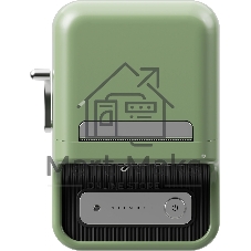 Термопринтер Niimbot B21S (1746725) 203dpi 60мм/с/USB/BT для печ.этик. зеленый