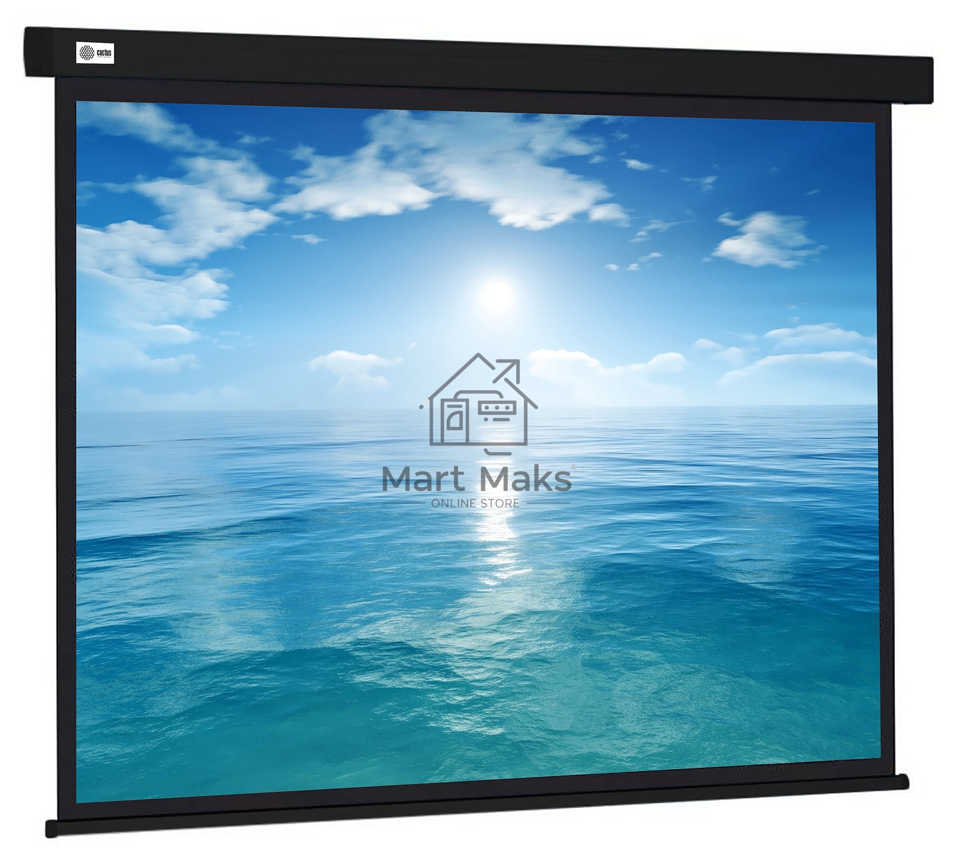 Экран Cactus 104.6x186см Wallscreen CS-PSW-104X186-BK 16:9 настенно-потолочный рулонный черный