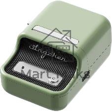 Термопринтер Niimbot B21S (1746725) 203dpi 60мм/с/USB/BT для печ.этик. зеленый