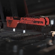 Оперативная память Patriot Viper Elite II, DDR4, 8GB (1x8 GB), 3600 MHz, CL20, DIMM, радиатор, красный/черный