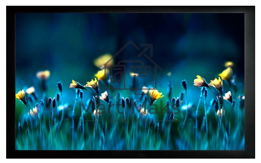 Экран на раме Cactus 113x200см FrameExpert CS-PSFRE-200X113 16:9 настенный натяжной