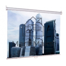 Экран Lumien 160x160 см Eco Picture LEP-100105 1:1 настенно-потолочный рулонный