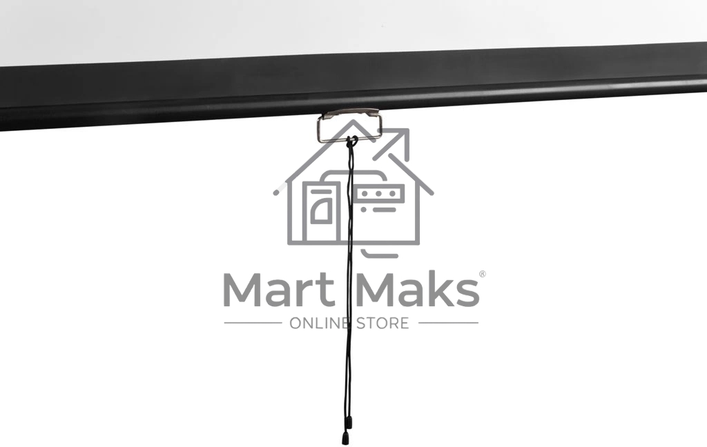 Экран Digis 248x144см Optimal-D DSOD-16905 16:9 настенный рулонный белый