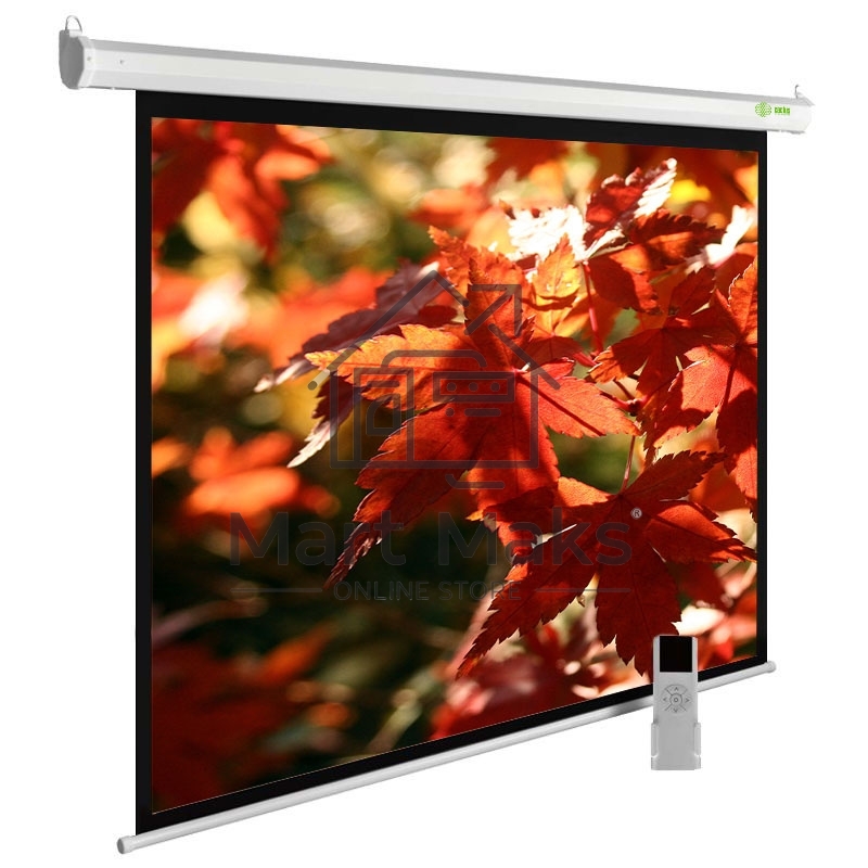 Экран Cactus 150x200см SIlverMotoExpert CS-PSSME-200X150-WT 4:3 настенно-потолочный рулонный белый (моторизованный привод)