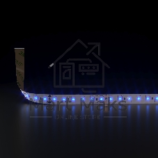 Лента светодиодная 5050 24V 60Led 14,4W IP20 / 60Led 14,4W IP20 синий