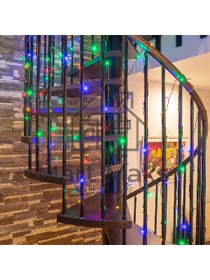 Новогодние светоукрашения Neon-night (303-029) Гирлянда 