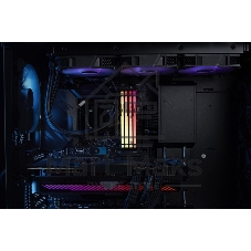 Оперативная память Kingston Fury Beast RGB, DDR5, 32GB (1x32GB), 5600 MHz, CL40, с радиатором, RGB, чёрный