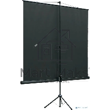 Экран на штативе Lumien Eco View 153x203см (раб.область147х197 см) Matte White с возможностью настенного крепления 4:3
