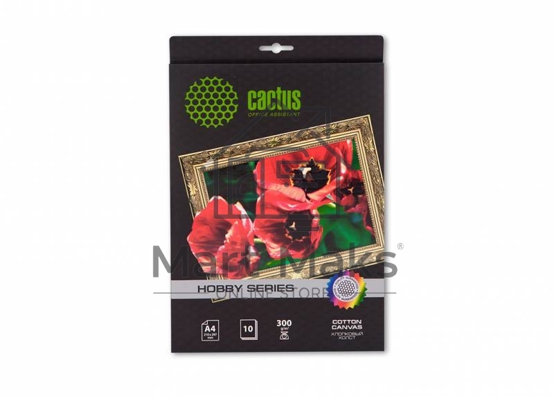 Холст Cactus CS-CA426010 A4/260г/м2/10л. для струйной печати