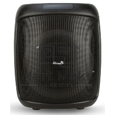 Колонка ELTRONIC 08