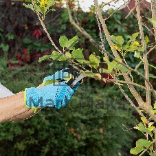 Нож садовый складной Palisad прямое лезвие, 173 мм, деревянная рукоятка