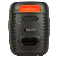 Колонка ELTRONIC 08