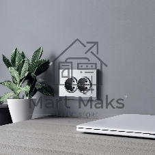 Розетка двойная с заземлением Werkel W1172065 (серебряный матовый)