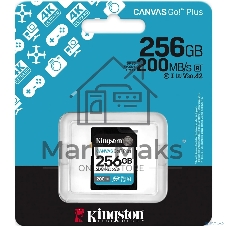 Флеш карта SDXC 256Gb Kingston SDG4/256Gb Canvas Go! Plus V30