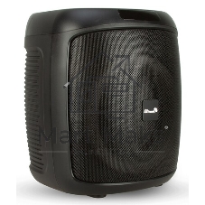 Колонка ELTRONIC 08
