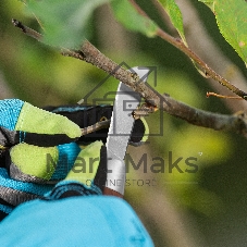 Нож садовый складной Palisad прямое лезвие, 173 мм, деревянная рукоятка