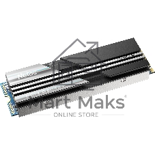Накопитель SSD Netac NV5000, 500Gb, M.2 2280, PCIe 4.0 x4, NVMe, R/W 5000/2500, с радиатором