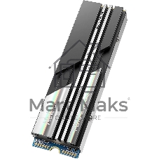 Накопитель SSD Netac NV5000, 500Gb, M.2 2280, PCIe 4.0 x4, NVMe, R/W 5000/2500, с радиатором