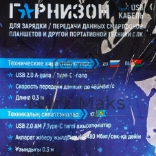Кабель USB Гарнизон GCC-USB2-AMCM-0.3M, USB2.0 AM/USB3.1 Type-C, 0.3м, пакет