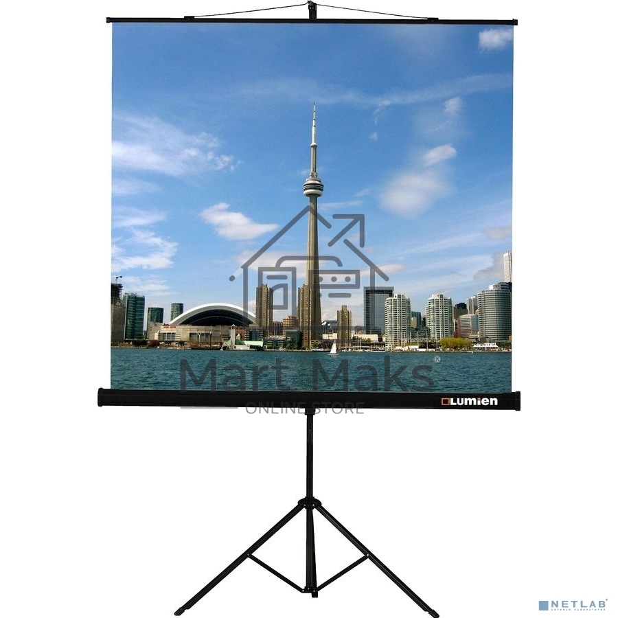 Экран на штативе Lumien Eco View 180x180см (раб.область 174х174 см) Matte White с возможностью настенного крепления 1:1