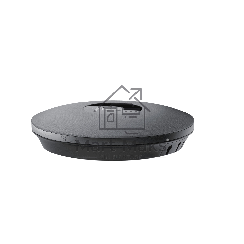 Микрофон Sber SDMIC-001