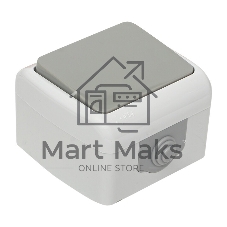 Выключатель EKF Мурманск EFV10-021-30-54 1 -клавишный 10А IP54 серый