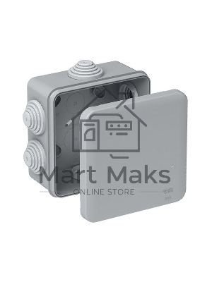 Коробка распределительная ОП 100х100х50 мм DIY SchE IMT350911