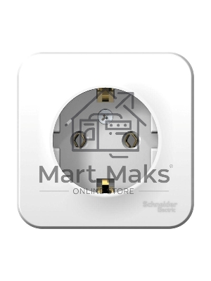 Розетка с/з без шторок 16А, 250В, изолир. пластина SE Blanca наруж Бел