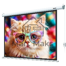 Экран с электроприводом Lumien LEC-100119 Eco Control 157x227 см (раб. область 124х221 см) (100