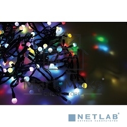 Новогодние светоукрашения NEON-NIGHT (303-509-2) Гирлянда 