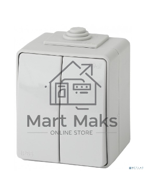 Выключатель 2-кл ОУ IP65 ЭРА 11-1604-03 Эксперт Серый