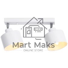 Светильник Ambrella light TR8141/2  WH белый E27*2 max 40W 340*120*180