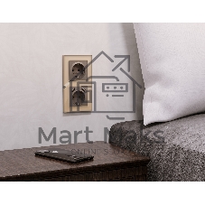 Комплект механизма электрической розетки ALFA Темная бронза матовый 2USB A+A 18W (быстрая зарядка) с/з QUANT (AP6390, VM155) MA639010