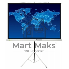 Экран Cactus 150x150 см Triscreen CS-PST-150x150 1:1 напольный рулонный белый