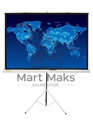 Экран Cactus 150x150см Triscreen CS-PST-150x150 1:1 напольный рулонный белый