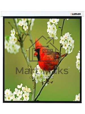 Экраны LUMIEN LUMIEN Master Picture LMP-100129 220*220 1:1, черная кайма по периметру