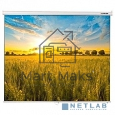 Экран Lumien 160x160 см Eco Picture LEP-100105 1:1 настенно-потолочный рулонный
